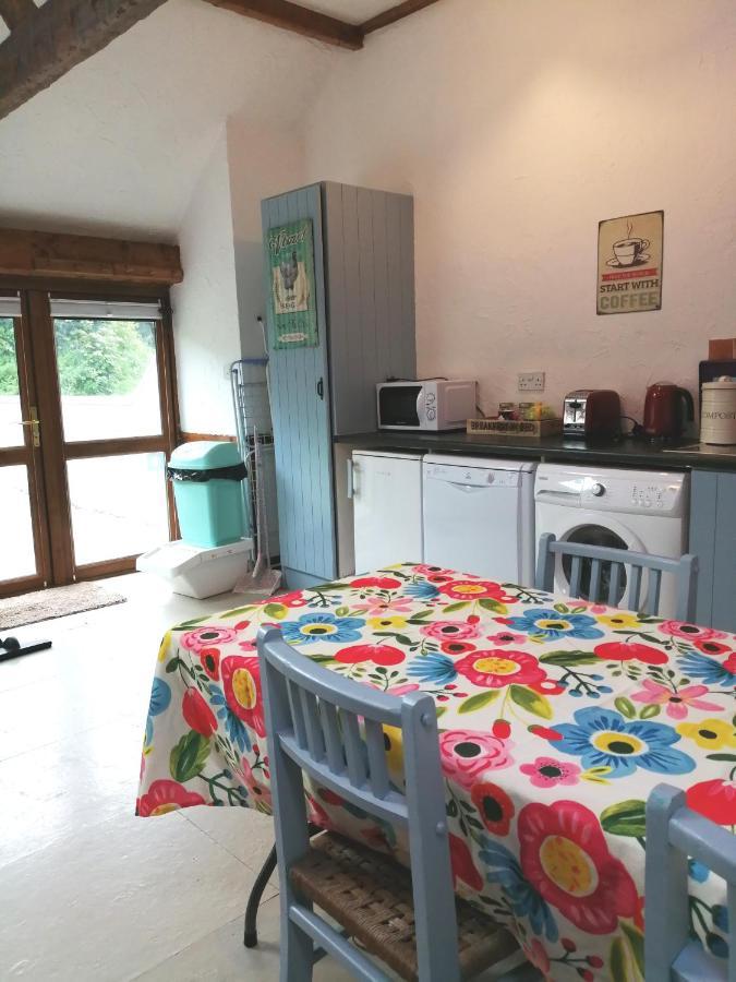 Killarney Saoirse Cottage מראה חיצוני תמונה