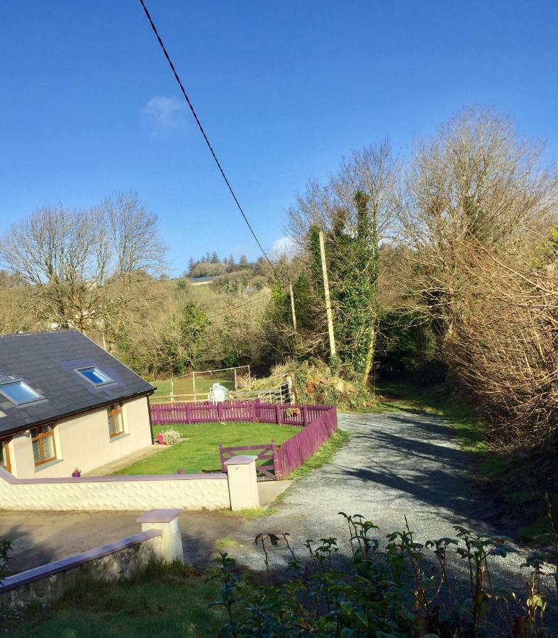 Killarney Saoirse Cottage מראה חיצוני תמונה